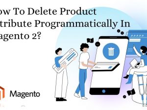 How To Delete Product Attribute Programmatically In Magento 2?