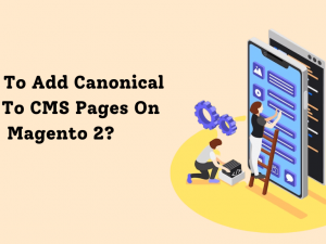 Canonical Tag To CMS