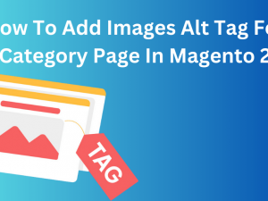 How To Add Images Alt Tag For Category Page In Magento 2