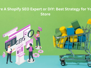 Hire a shopify seo expert