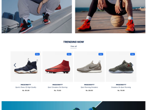 pacecraftt-myshopify-com-06-13-2025_11_08_AM