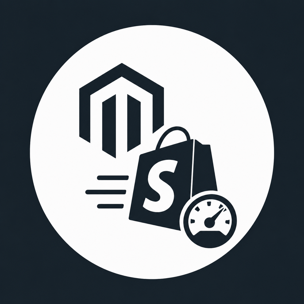 Shopify Speed Optimization