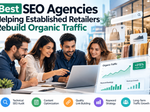 Rebuild Organic Traffic